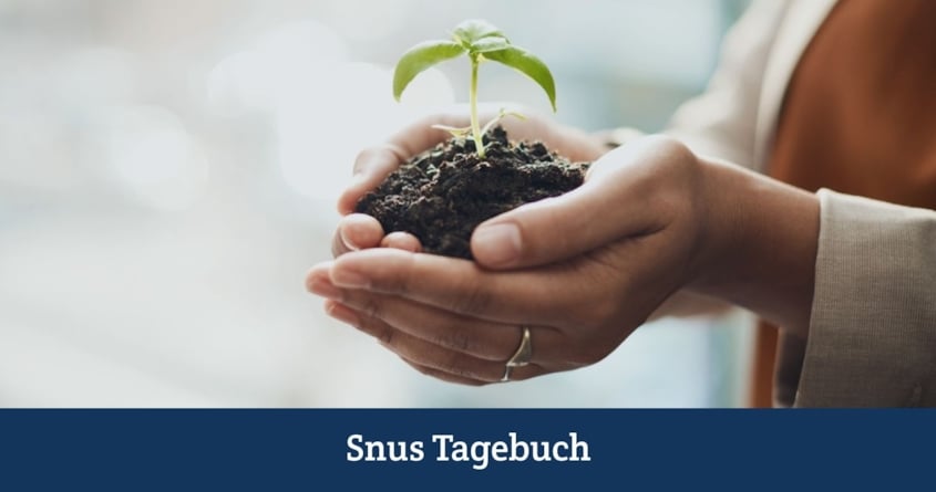 Synthetisches Nikotin – Teurer, aber nachhaltiger