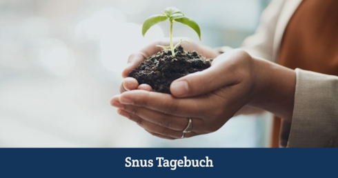 Synthetisches Nikotin – Teurer, aber nachhaltiger