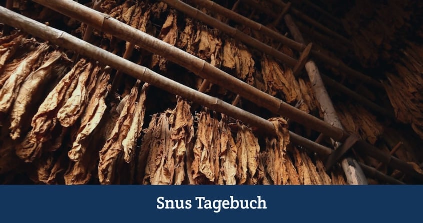 Grov wird 150 Jahre alt