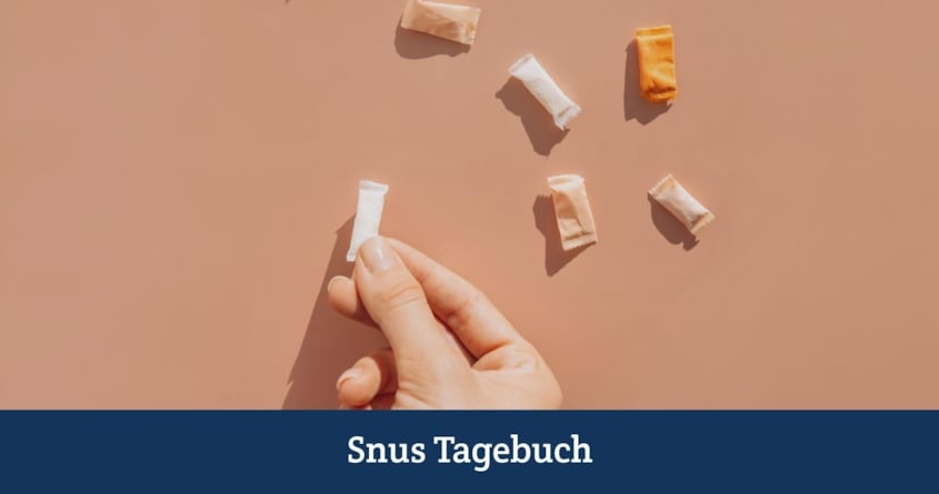 Die Geschichte der Nikotinbeutel