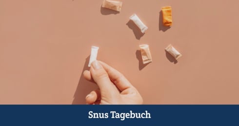 Die Geschichte der Nikotinbeutel