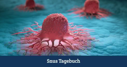 Bekommt man Krebs von Snus?