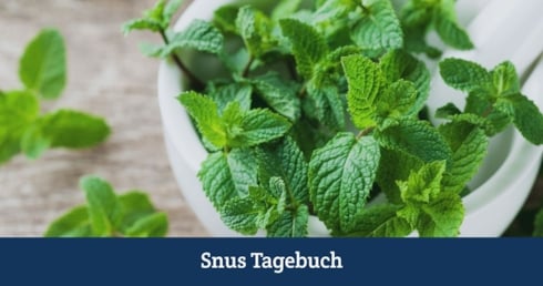 Snus Geschmack Teil 8 - Minze & Menthol