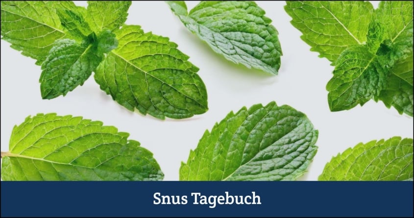 Minzblätter symbolisieren das Thema Mentholyigaretten Verbot, das nicht für Snus gilt.