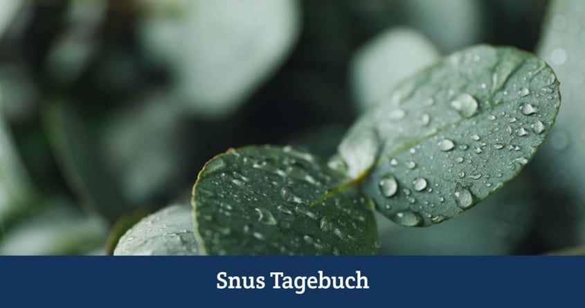 Snus Geschmack Teil 5 - Eukalyptus