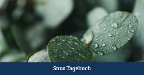 Snus Geschmack Teil 5 - Eukalyptus