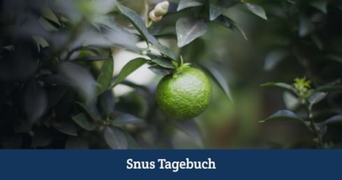Snus Geschmack - Teil 2: Bergamotte