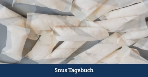 Lose Nikotinbeutel auf einem Tisch. 