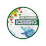 Iceberg Kiwi Strawberry 10mg Light