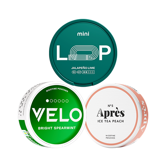 Beginner Bundle Mini