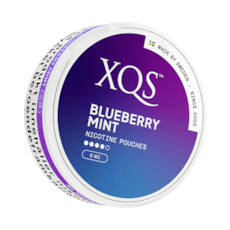 XQS Blueberry Mint Slim Strong