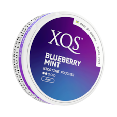 XQS Blueberry Mint Light