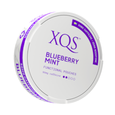 XQS Blueberry Mint Nikotinfrei