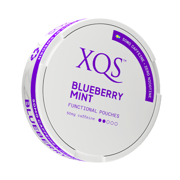 XQS Blueberry Mint Nikotinfrei