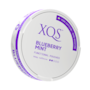 XQS Blueberry Mint Nikotinfrei