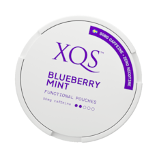 XQS Blueberry Mint Nikotinfrei