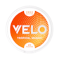 Velo Tropical Mango Zero Nikotinfrei