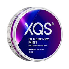 XQS Blueberry Mint 4mg